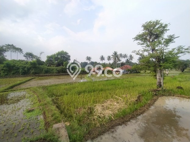 Tanah Kavling di Warungkondang Dijual dengan Luas 1250m2 Tanah Kavling di Warungkondang Dijual dengan Luas 1250m2