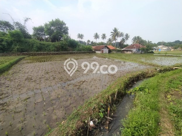 Tanah Kavling di Warungkondang Dijual dengan Luas 1250m2 Tanah Kavling di Warungkondang Dijual dengan Luas 1250m2