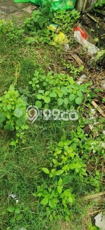 Tanah Kavling Dijual di Badung dengan Spesifikasi 1200m2 Tanah Kavling Dijual di Badung dengan Spesifikasi 1200m2