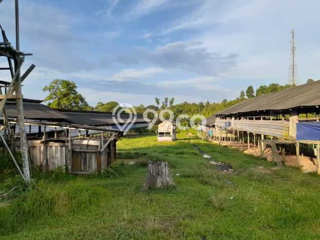 Tanah Kawasan Balikpapan Utara, Luas 33612m², Dekat Balikpapan Utara, Balikpapan, Balikpapan Tanah Kawasan Balikpapan Utara, Luas 33612m², Dekat Balikpapan Utara, Balikpapan, Balikpapan