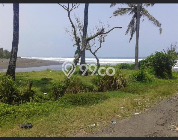 Tanah Kavling Dijual di Tabanan dengan Spesifikasi 153900m2 Tanah Kavling Dijual di Tabanan dengan Spesifikasi 153900m2