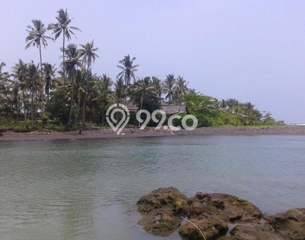 Tanah Kavling Dijual di Tabanan dengan Spesifikasi 153900m2 Tanah Kavling Dijual di Tabanan dengan Spesifikasi 153900m2