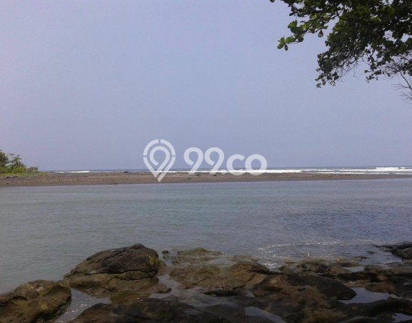 Tanah Kavling Dijual di Tabanan dengan Spesifikasi 153900m2 Tanah Kavling Dijual di Tabanan dengan Spesifikasi 153900m2