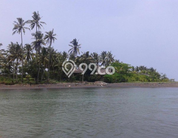 Tanah Kavling Dijual di Tabanan dengan Spesifikasi 153900m2 Tanah Kavling Dijual di Tabanan dengan Spesifikasi 153900m2