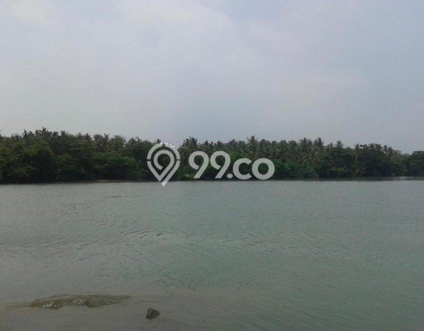 Tanah Kavling Dijual di Tabanan dengan Spesifikasi 153900m2 Tanah Kavling Dijual di Tabanan dengan Spesifikasi 153900m2