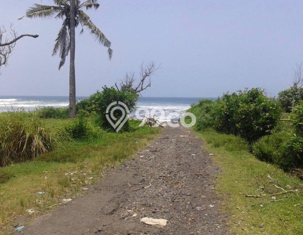 Tanah Kavling Dijual di Tabanan dengan Spesifikasi 153900m2 Tanah Kavling Dijual di Tabanan dengan Spesifikasi 153900m2