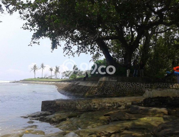 Tanah Kavling Dijual di Tabanan dengan Spesifikasi 153900m2 Tanah Kavling Dijual di Tabanan dengan Spesifikasi 153900m2