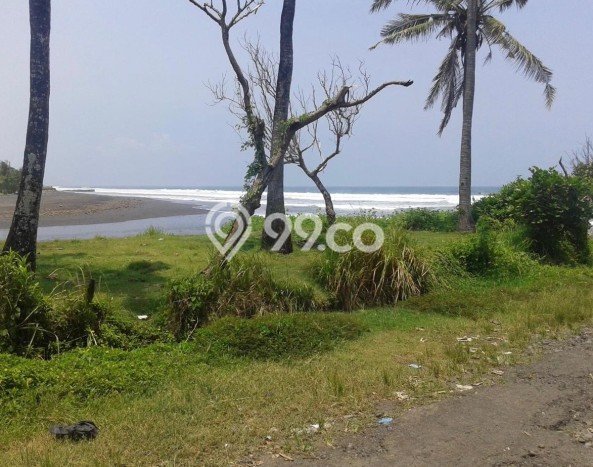 Tanah Kavling Dijual di Tabanan dengan Spesifikasi 153900m2 Tanah Kavling Dijual di Tabanan dengan Spesifikasi 153900m2