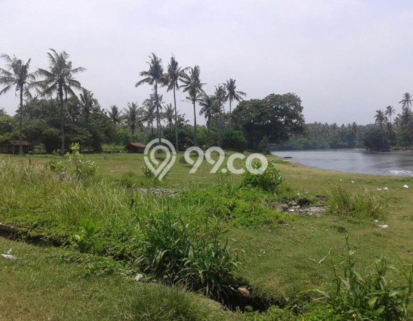 Tanah Kavling Dijual di Tabanan dengan Spesifikasi 153900m2 Tanah Kavling Dijual di Tabanan dengan Spesifikasi 153900m2