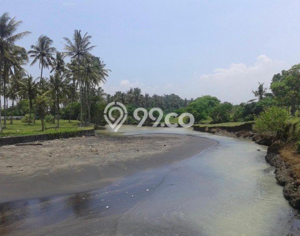 Tanah Kavling Dijual di Tabanan dengan Spesifikasi 153900m2 Tanah Kavling Dijual di Tabanan dengan Spesifikasi 153900m2
