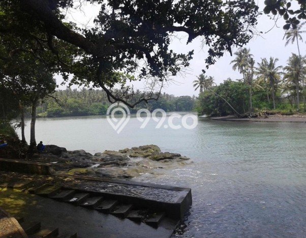 Tanah Kavling Dijual di Tabanan dengan Spesifikasi 153900m2 Tanah Kavling Dijual di Tabanan dengan Spesifikasi 153900m2