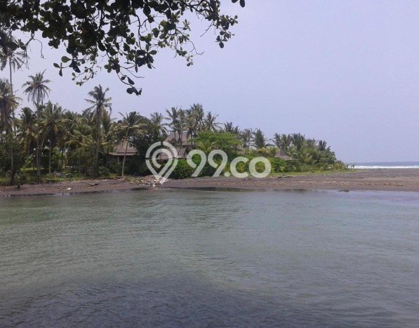 Tanah Kavling Dijual di Tabanan dengan Spesifikasi 153900m2 Tanah Kavling Dijual di Tabanan dengan Spesifikasi 153900m2