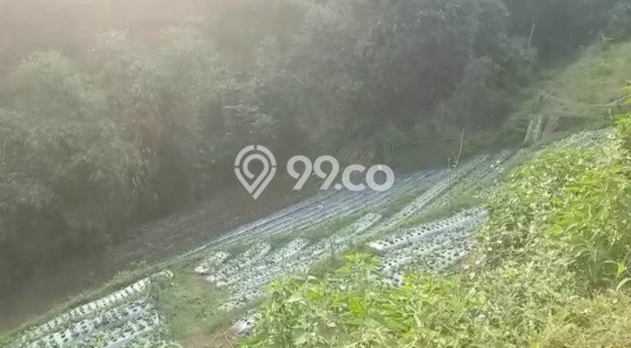 Dijual Tanah Lokasi Dago Pakar, Bandung Seluas 5500m2 Dijual Tanah Lokasi Dago Pakar, Bandung Seluas 5500m2
