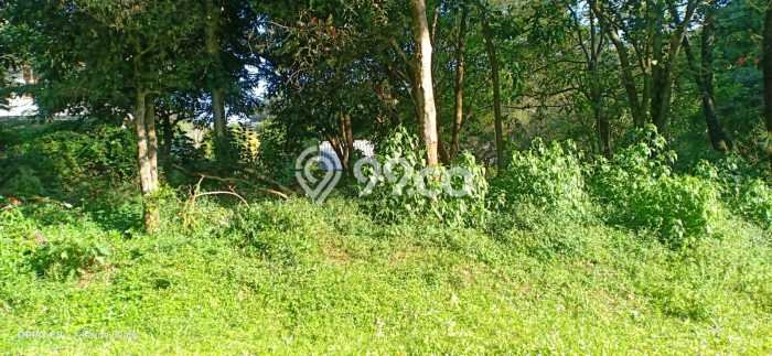 Tanah Kavling Dijual di Setiabudi, Bandung dengan Luas Tanah 588m2 Tanah Kavling Dijual di Setiabudi, Bandung dengan Luas Tanah 588m2