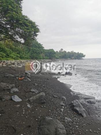 Tanah untuk Dijual Lokasi Tejakula, Buleleng Luas 4200m2 SHM Tanah untuk Dijual Lokasi Tejakula, Buleleng Luas 4200m2 SHM