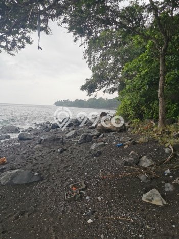 Tanah untuk Dijual Lokasi Tejakula, Buleleng Luas 4200m2 SHM Tanah untuk Dijual Lokasi Tejakula, Buleleng Luas 4200m2 SHM