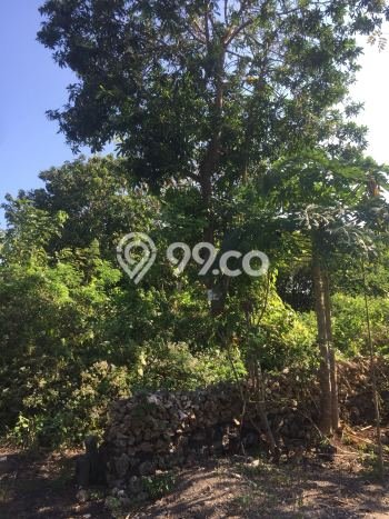 Tanah Kawasan Nusa Dua, Luas 310m², Akses Jalan Utama Tanah Kawasan Nusa Dua, Luas 310m², Akses Jalan Utama