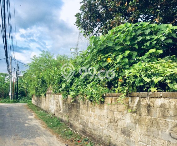 Dijual Tanah di Denpasar, Luas 500m2 SHM Dijual Tanah di Denpasar, Luas 500m2 SHM