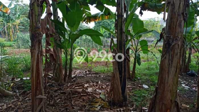 Dijual Tanah Lokasi Jatikarya, Bekasi Seluas 300m2 Dijual Tanah Lokasi Jatikarya, Bekasi Seluas 300m2