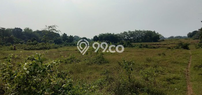 Lahan Dijual Lokasi Tigaraksa, Tangerang dengan Luas Tanah 250000m2 dan Status SHM Lahan Dijual Lokasi Tigaraksa, Tangerang dengan Luas Tanah 250000m2 dan Status SHM