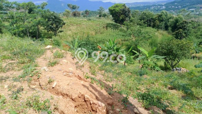 Tanah Investasi Dijual di Bogor Punya Luas 993800m2 Tanah Investasi Dijual di Bogor Punya Luas 993800m2