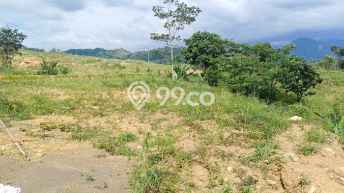 Tanah Investasi Dijual di Bogor Punya Luas 993800m2 Tanah Investasi Dijual di Bogor Punya Luas 993800m2