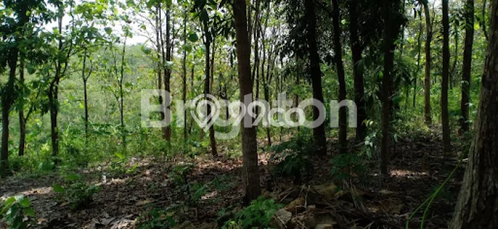 Kavling Tanah Dijual di Gunung Pati Semarang Spesifikasi 874m2 Kavling Tanah Dijual di Gunung Pati Semarang Spesifikasi 874m2