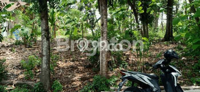 Kavling Tanah Dijual di Gunung Pati Semarang Spesifikasi 874m2 Kavling Tanah Dijual di Gunung Pati Semarang Spesifikasi 874m2