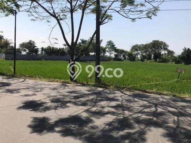 Dijual Tanah di Soreang Bandung Luas 4100m2 SHM Dijual Tanah di Soreang Bandung Luas 4100m2 SHM