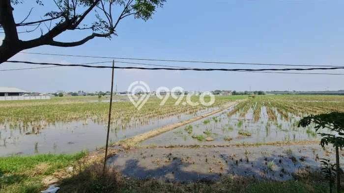Tanah untuk Dijual di Karawang Barat Karawang Luas 170000m2 Tanah untuk Dijual di Karawang Barat Karawang Luas 170000m2
