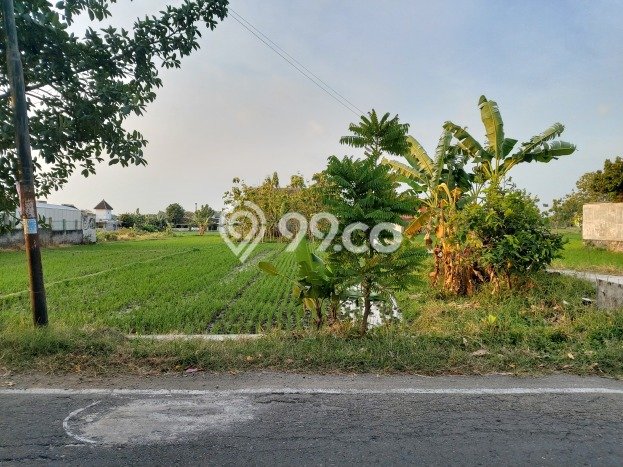 Lahan untuk Dijual di Jaten Karanganyar Luas 665m2 Lahan untuk Dijual di Jaten Karanganyar Luas 665m2