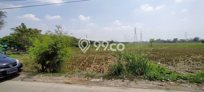 Dijual Tanah di Ciruas Serang Luas 14500m2 SHM Dijual Tanah di Ciruas Serang Luas 14500m2 SHM