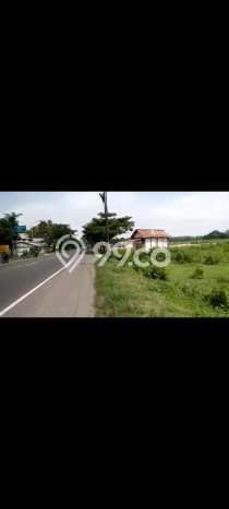 Jarang Ada! Tanah di Tuban Punya Luas 22220m2 SHM Jarang Ada! Tanah di Tuban Punya Luas 22220m2 SHM