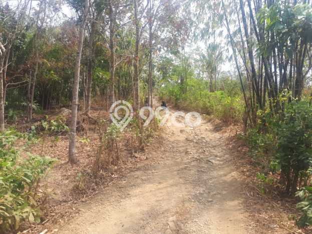Tanah Strategis Dijual di Ciemas Sukabumi 2474m2 Tanah Strategis Dijual di Ciemas Sukabumi 2474m2