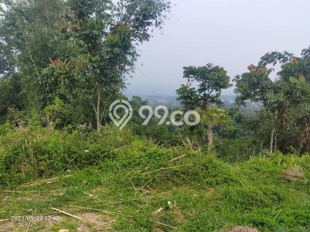 Tanah di Cijeruk, Luas 1650m2m², Lokasi Potensial, Lingkungan Asri, Bebas Banjir Tanah di Cijeruk, Luas 1650m2m², Lokasi Potensial, Lingkungan Asri, Bebas Banjir
