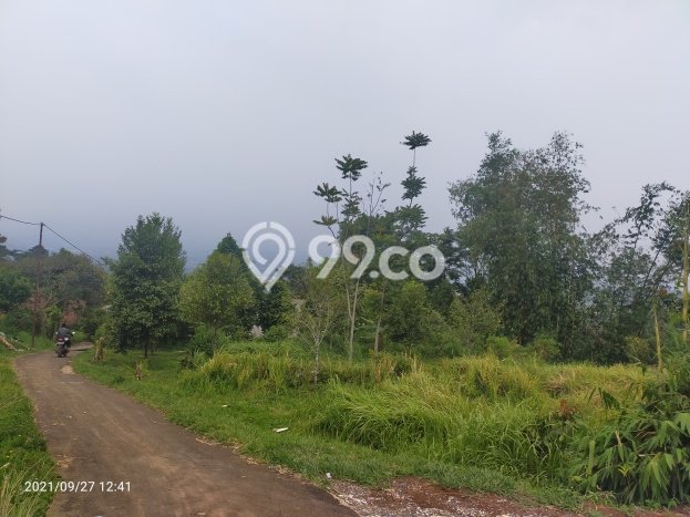 Tanah di Cijeruk, Luas 1650m2m², Lokasi Potensial, Lingkungan Asri, Bebas Banjir Tanah di Cijeruk, Luas 1650m2m², Lokasi Potensial, Lingkungan Asri, Bebas Banjir