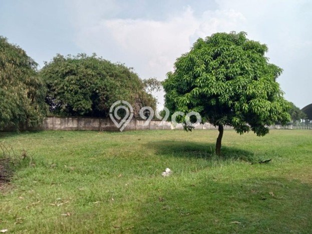 Tanah Siap Bangun Dijual di Purwakarta Punya Luas 30000m2 Tanah Siap Bangun Dijual di Purwakarta Punya Luas 30000m2
