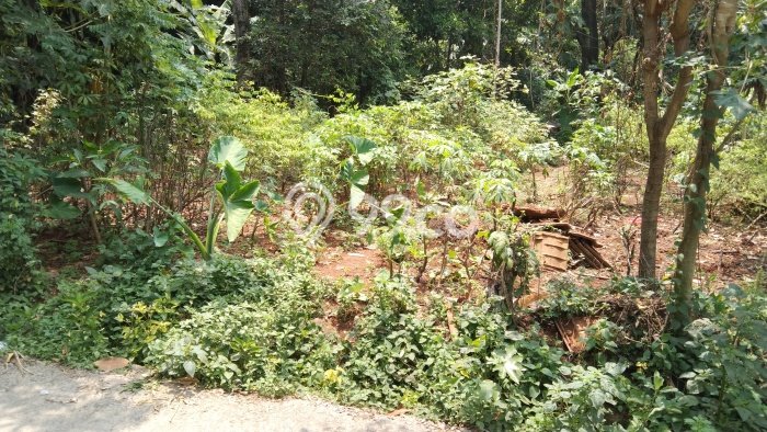 Dijual Tanah Lokasi Klapanunggal, Bogor Seluas 300m2 Dijual Tanah Lokasi Klapanunggal, Bogor Seluas 300m2