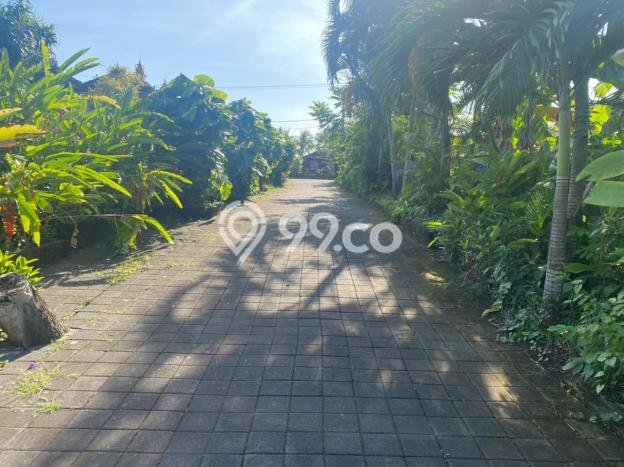 Jarang Ada! Tanah di Kediri Punya Luas 327m2 SHM Jarang Ada! Tanah di Kediri Punya Luas 327m2 SHM