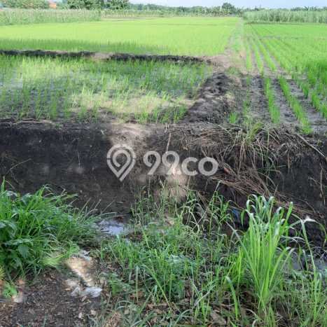 Kavling Tanah Dijual di Driyorejo, Gresik, Luas 6730m2 Area Strategis Kavling Tanah Dijual di Driyorejo, Gresik, Luas 6730m2 Area Strategis