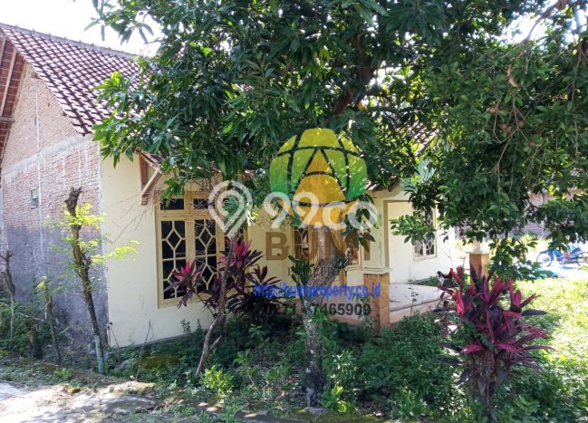 Tanah Kavling di Ngemplak Dijual dengan Luas 1200m2 Tanah Kavling di Ngemplak Dijual dengan Luas 1200m2