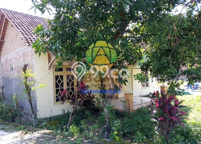 Tanah Dijual Lokasi Ngemplak, Boyolali Luas 1200m2 Legalitas Aman Tanah Dijual Lokasi Ngemplak, Boyolali Luas 1200m2 Legalitas Aman