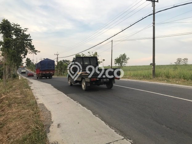 Tanah Dijual Lokasi Mantup, Lamongan Luas 30000m2 Legalitas Aman Tanah Dijual Lokasi Mantup, Lamongan Luas 30000m2 Legalitas Aman