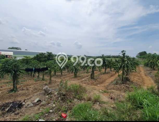 Tanah di Balikpapan Utara, Balikpapan Luas 39000m2 Dijual Segera Tanah di Balikpapan Utara, Balikpapan Luas 39000m2 Dijual Segera