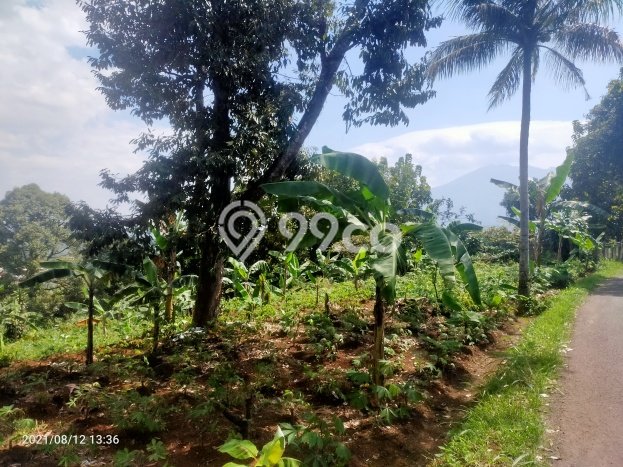 Jarang Ada! Tanah di Caringin Punya Luas 3000m2 SHM Jarang Ada! Tanah di Caringin Punya Luas 3000m2 SHM