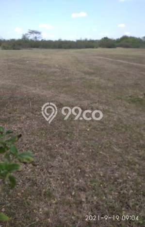 Tanah Strategis Dijual di Bancar Tuban 40000m2 Tanah Strategis Dijual di Bancar Tuban 40000m2
