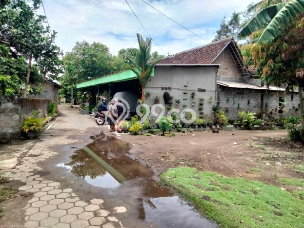 Tanah Kavling untuk Dijual di Prambanan Sleman 712m2 Tanah Kavling untuk Dijual di Prambanan Sleman 712m2