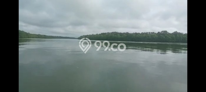 Lahan Kosong Dijual di Penajam Paser Utara dengan Area 1e+06m2 Lahan Kosong Dijual di Penajam Paser Utara dengan Area 1e+06m2