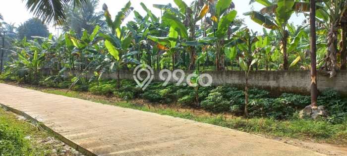 Tanah Kavling di Ranca Bungur Dijual dengan Luas 137m2 Tanah Kavling di Ranca Bungur Dijual dengan Luas 137m2