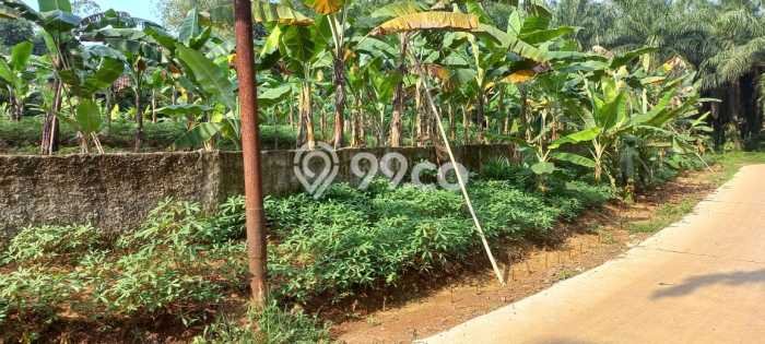 Tanah Kavling di Ranca Bungur Dijual dengan Luas 137m2 Tanah Kavling di Ranca Bungur Dijual dengan Luas 137m2